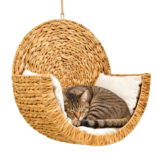 CoconFélin™ — Cocon Mural Tressé pour Chat